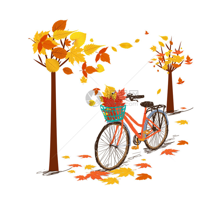 你好秋天手画的提粉自行车后篮有秋叶图片