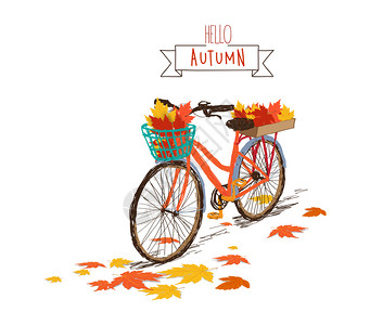 你好秋天手画的提粉自行车后篮有秋叶图片