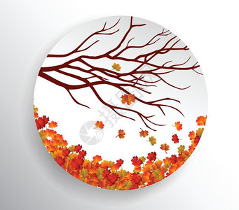 圆形树叶树秋天背景有丰富多彩的叶子插画