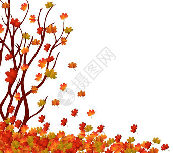 秋树和叶背景图片