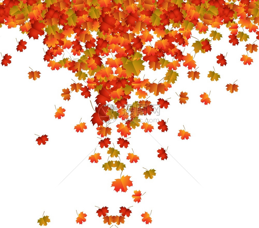 秋叶落背景图片