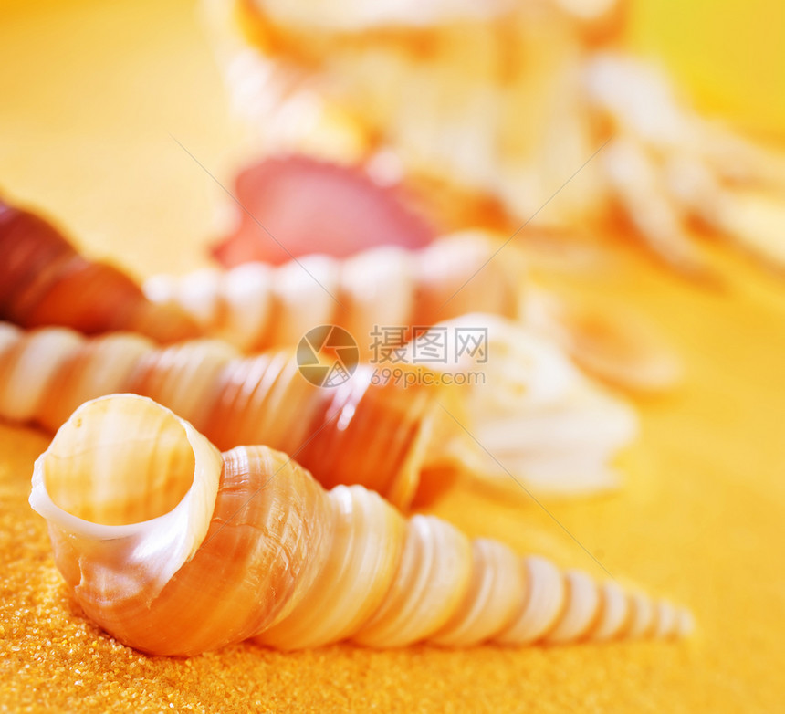 夏季背景黄沙和海壳图片