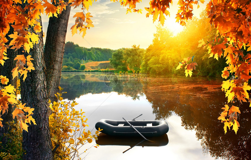 秋天清晨在池塘中的船图片