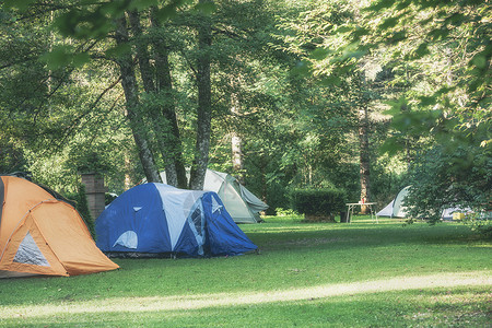 露营区绿草地的帐篷图片