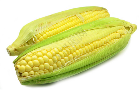 玉米的耳朵露出黄色内核图片