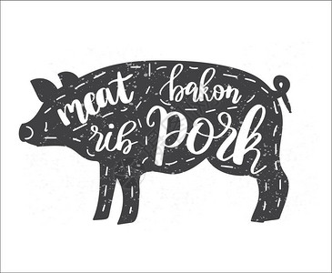 猪腿含有猪的光影和字母文的矢量图示粉黑板背景上带有粉笔的古老风格图画可用于网络印刷屠宰店肉类餐厅插画