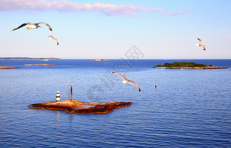 芬兰斯堪的纳维亚岛地貌有小屿和飞翔的海鸥背景图片
