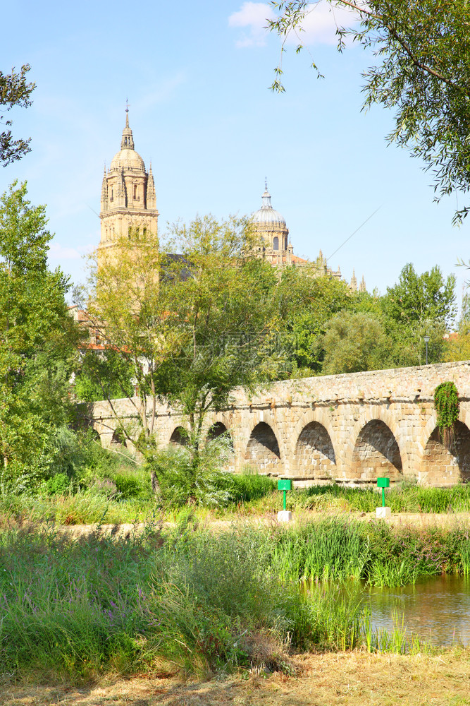 西班牙萨拉曼卡罗马桥附近的公园图片