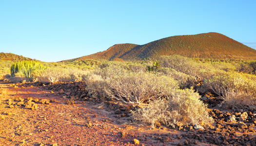 卡纳里西特内费岛沙漠地区全景图片