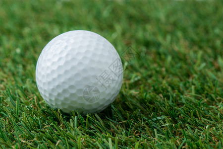 绿地上的高尔夫球图片