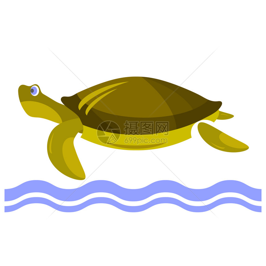 卡通海龟图标孤立于白色背景图片