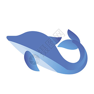 矢量海豚海豚号白背景上孤立的鱼蓝图标背景