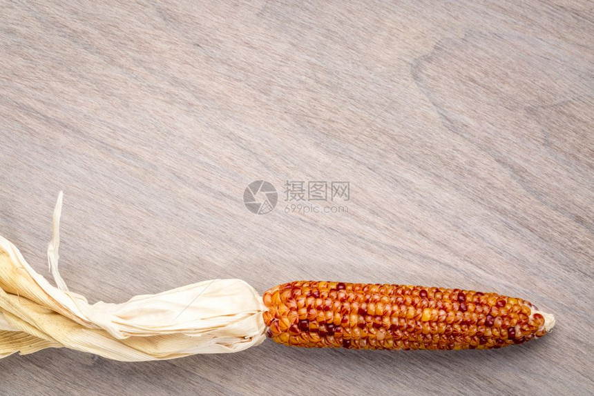 带装饰玉米耳朵的谷状木本图片
