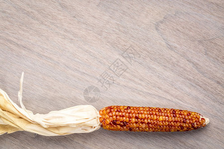 带装饰玉米耳朵的谷状木本图片