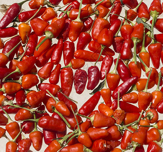白色背景最上视图的红色热辣椒图片