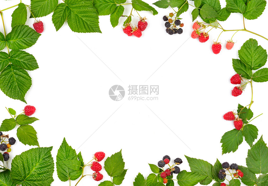 在白色背景中隔离的成熟草莓和黑框架图片