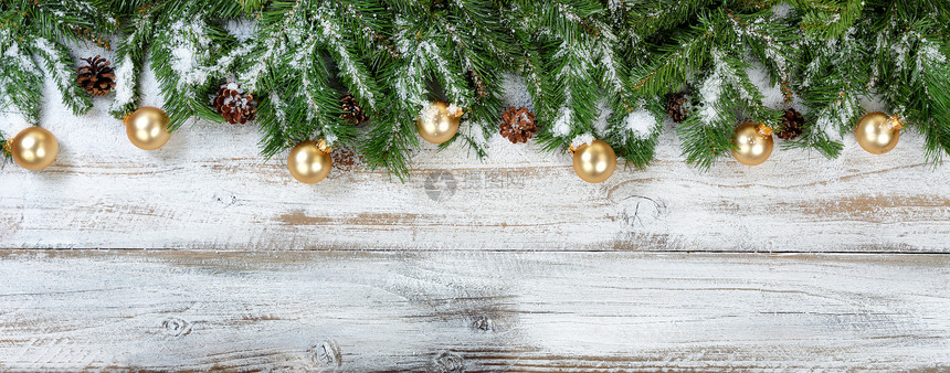 绿色圣诞树枝和金首饰图片