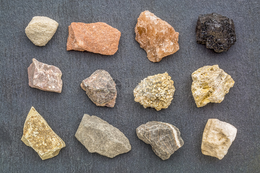 从左上层收集的沉积岩地质学石灰砂盐煤石灰盐方舟联合体化石泥页岩山石膏图片
