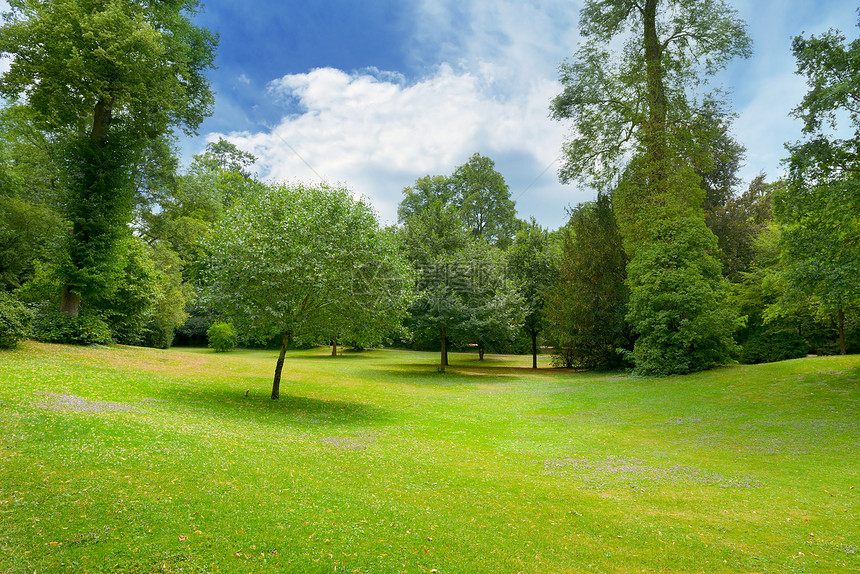 美丽的草地覆盖着公园里的草地美丽蓝天和白云图片