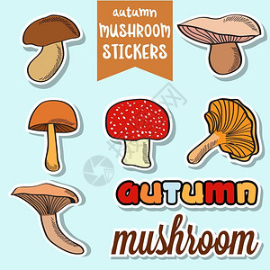 可爱的面条秋蘑菇贴纸背景图片