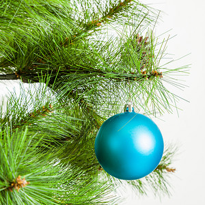 圣诞舞会挂在松树枝上圣诞装饰背景图片