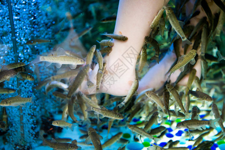 鱼类SPA水稻脚指甲皮肤治疗图片