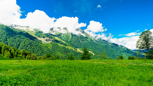 山区峰绿地图片