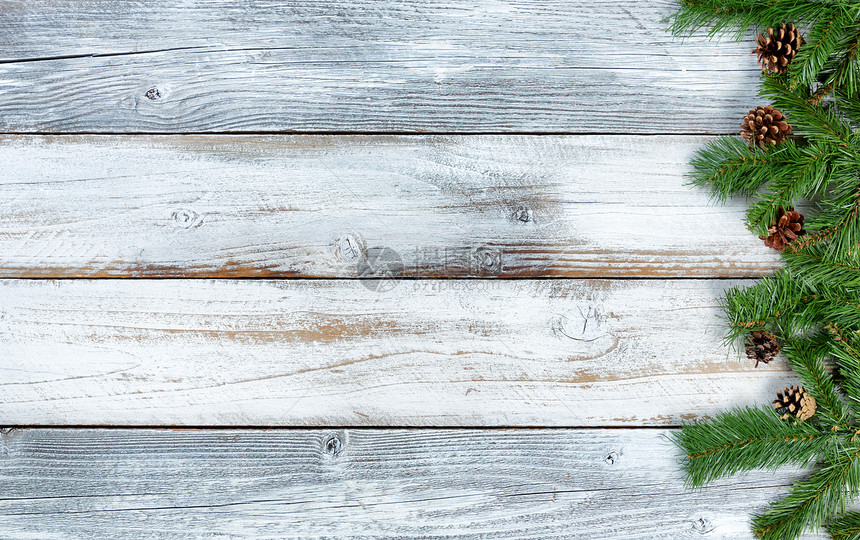 传统的圣诞长生绿色树枝装饰以固定的形式在生锈的结木上装饰图片