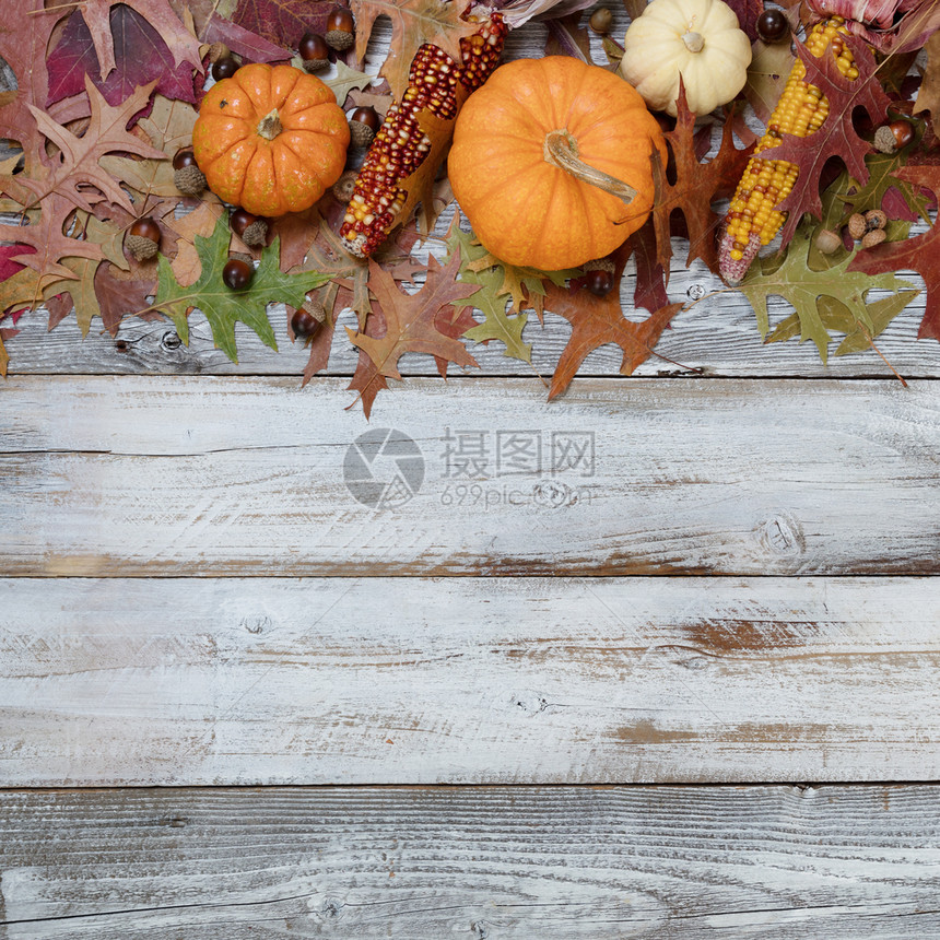 在最高边界的生锈白木板上设置季节秋天装饰品图片
