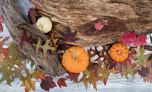 秋装饰配有流木和生锈白板上的叶子图片