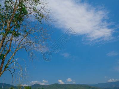 风景的天空和山岳图片