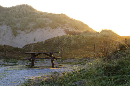 清晨阳光下在Katwijk看到沙丘Coepelduynen沙丘图片