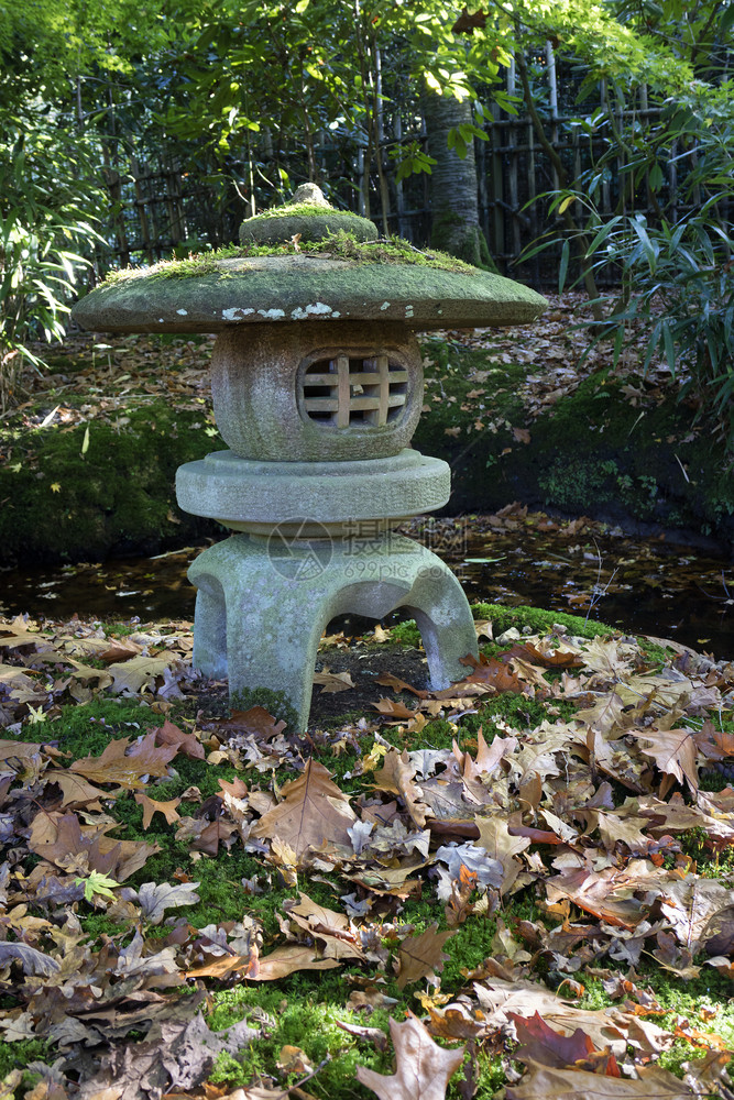 在花园里的日本传统石灯笼图片