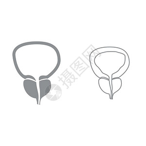前列腺和膀胱图标背景图片