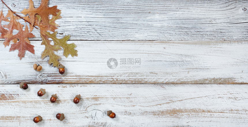 从生锈的白木板上树枝掉下来季节橡叶和皮装饰品图片