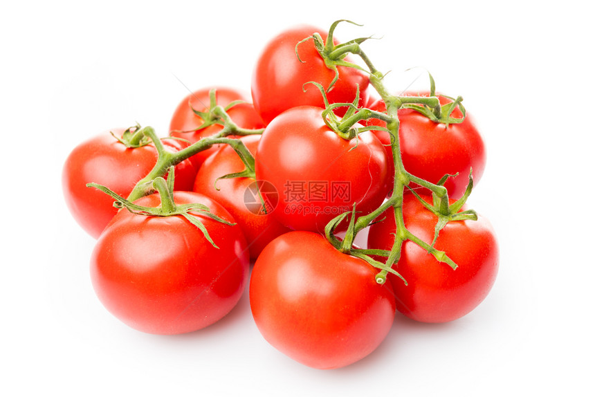 白色背景的新鲜西红柿图片