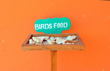 木鸟喂食者橙色墙附近有食物的木鸟喂者图片