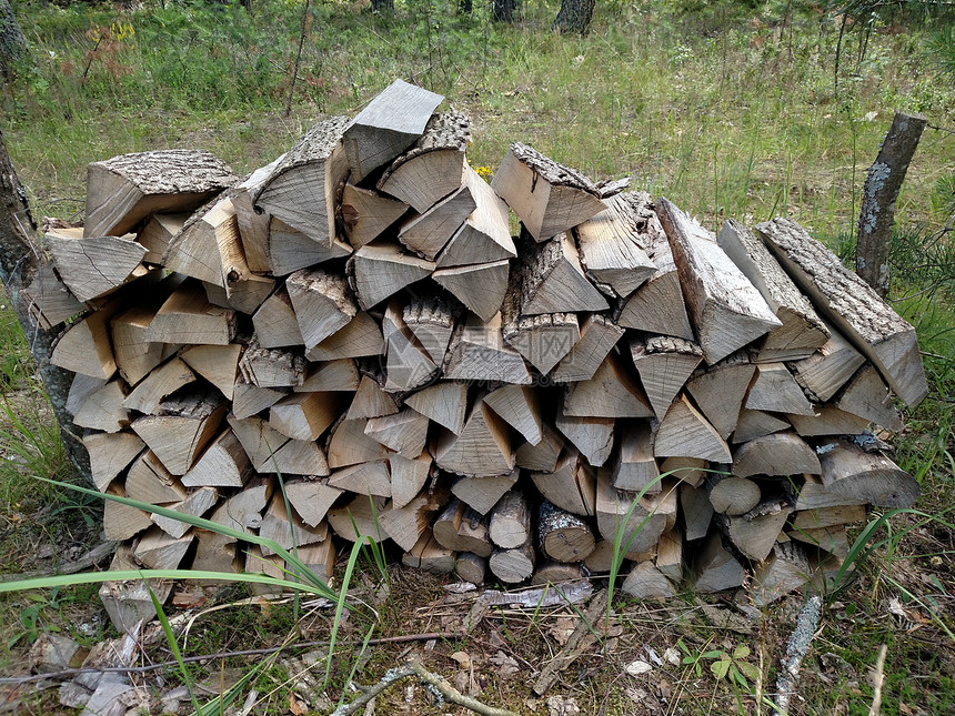 准备木柴背景森林中的木柴露营区壁炉的木柴堆冬季的木堆图片