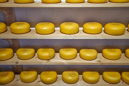 奶酪工厂图片