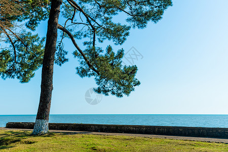 阿布哈兹黑海沿岸线图片