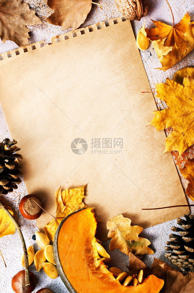 秋背景干叶和桌上的纸鱼群照片图片