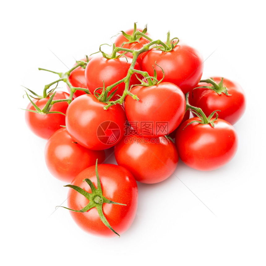 白色背景的新鲜西红柿图片