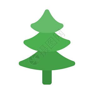 常绿乔木松树或圣诞插画