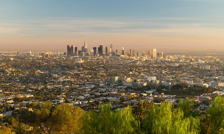 绿树占地的头洛杉矶市的天线是背景图片
