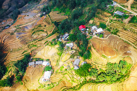 塔万村上方的望角和萨帕山谷水稻田梯图片