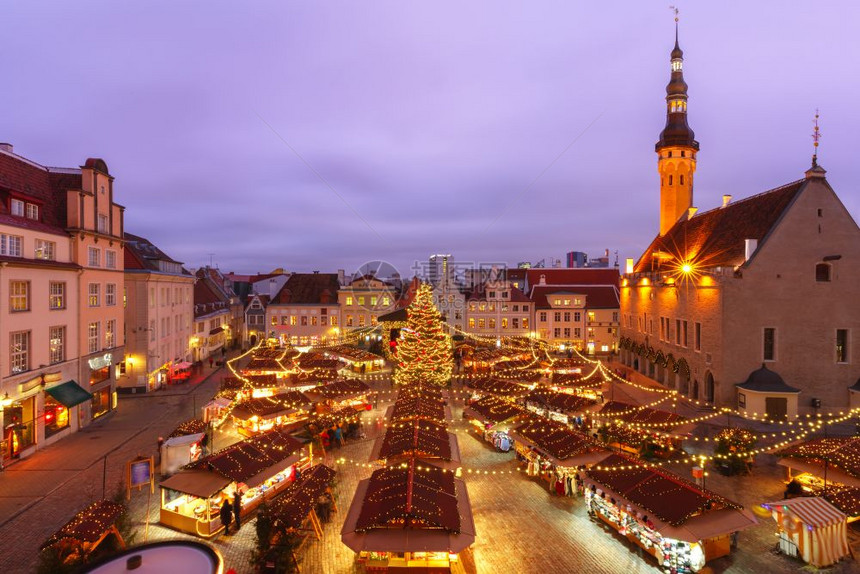 爱沙尼亚塔林圣诞市场爱沙尼亚塔林市政厅广场或Raekoja公花场装饰和照亮圣诞树市场爱沙尼亚塔林市图片