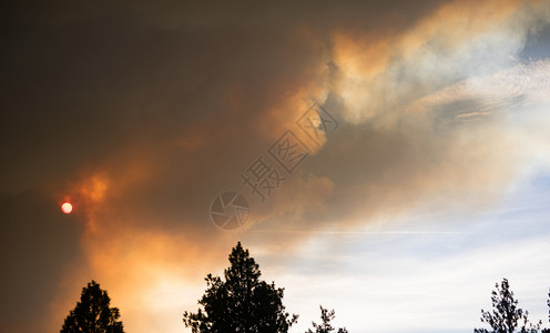 林地无节制的森火灾导致烟雾泛滥图片