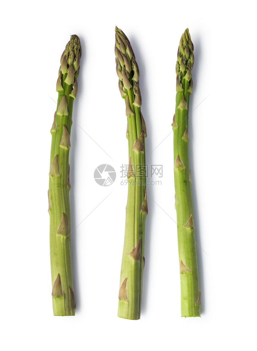 Asparagus白色背景的Asparagus图片