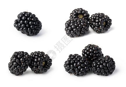 黑莓白色背景隔离的黑莓高清图片