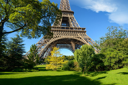 Eiffel铁塔和法国巴黎公园的树木图片